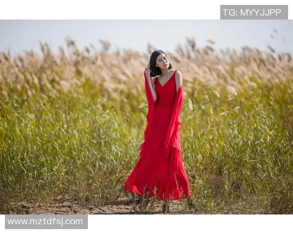 对话张敏：探索她的攀岩生涯与心路历程MBA