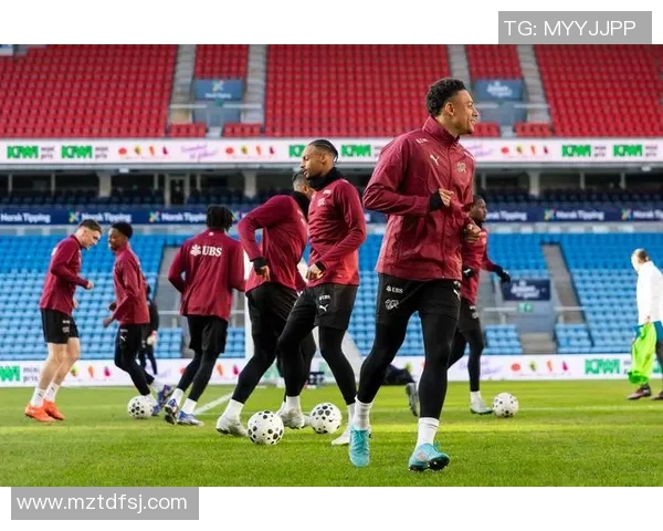 瑞士与卡塔尔足球比赛精彩对决展现两国足球实力与风采 瑞士与卡塔尔足球比赛精彩对决展现两国足球实力与风采