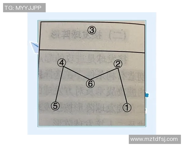 上海排球队的战术控制解析与未来发展展望 上海排球队的战术控制解析与未来发展展望